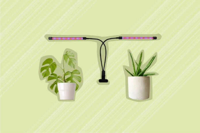 Choose A Suitable Way To Fill Light, Grow Crops Better!