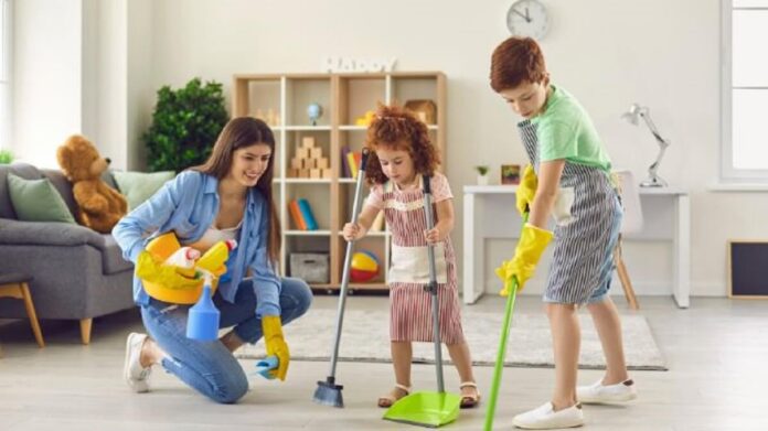 Creating a Pest-Free Sanctuary Effective Home Pest Control Strategies