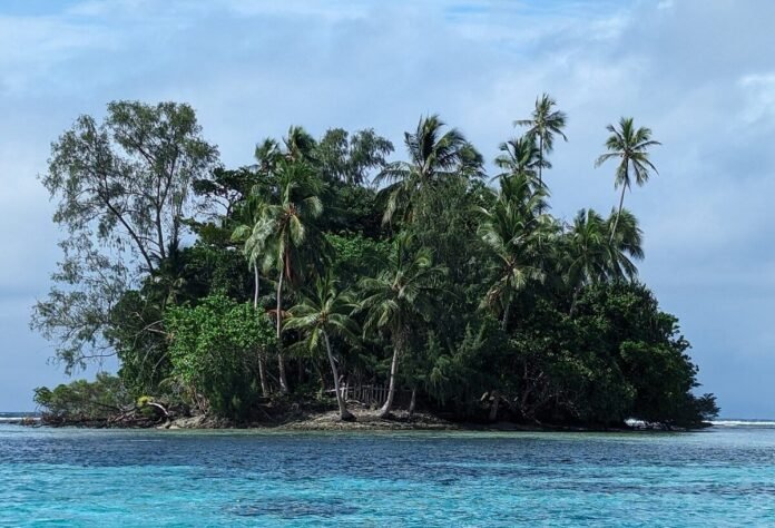 What the Skull Island What the Skull Island